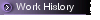 Work History